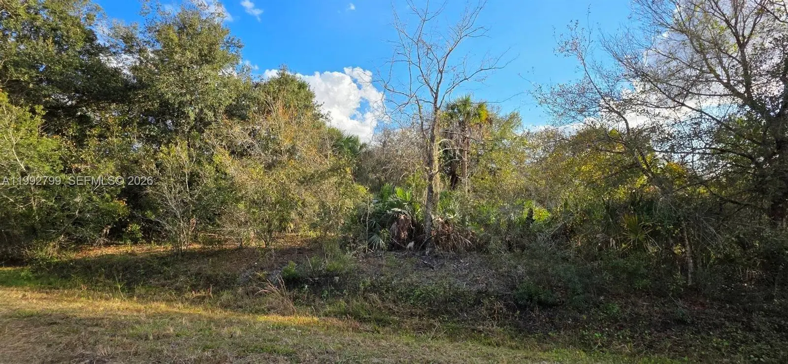 Photo of Listing #A11992799