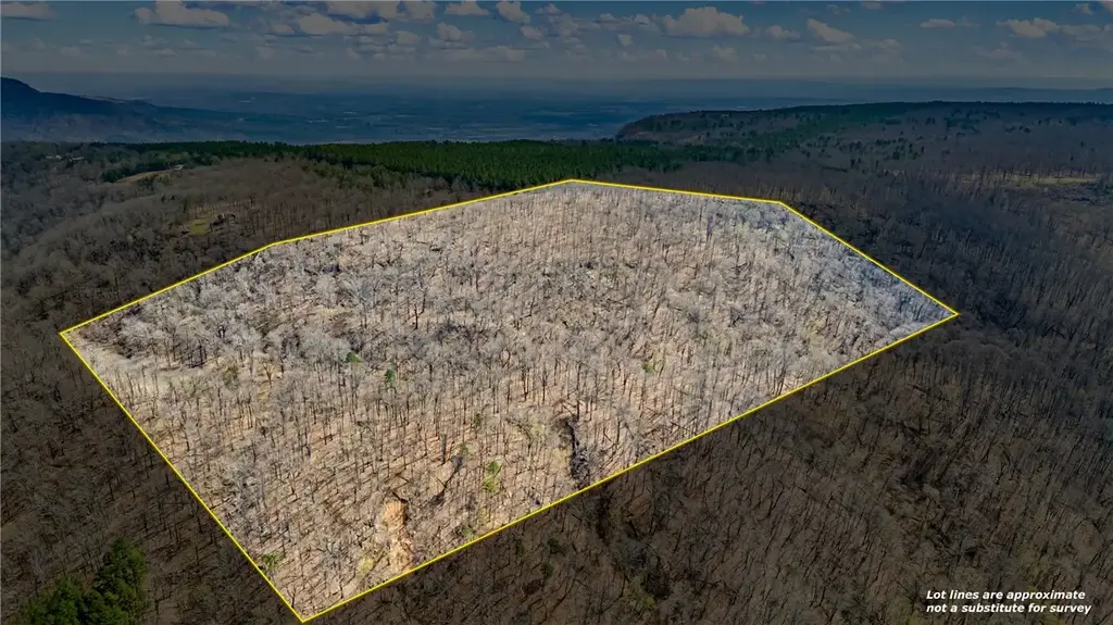 40 Acres, Dardanelle