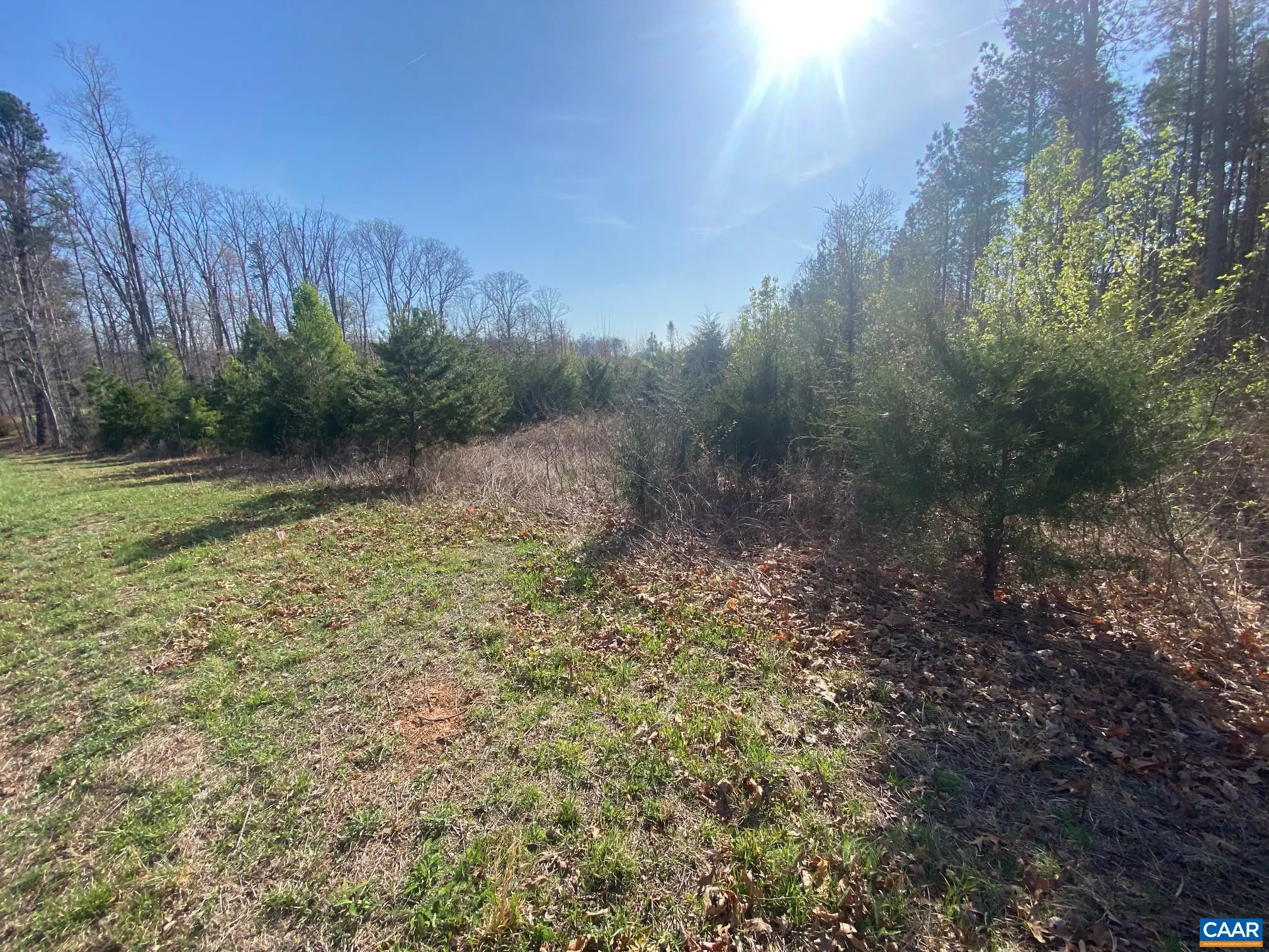 Aldridge Ln, Scottsville