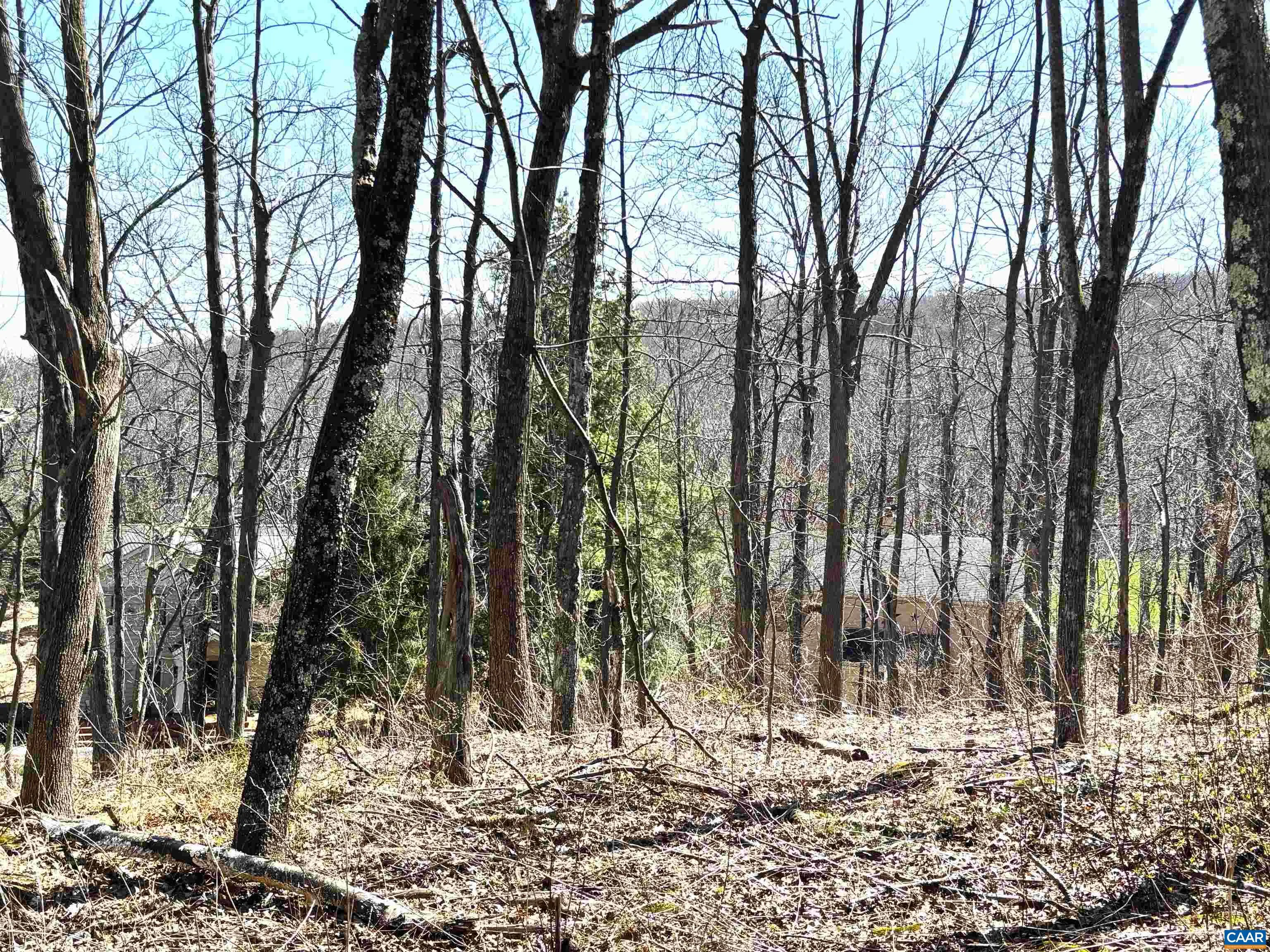 433 Laurel Springs Dr, Wintergreen Resort