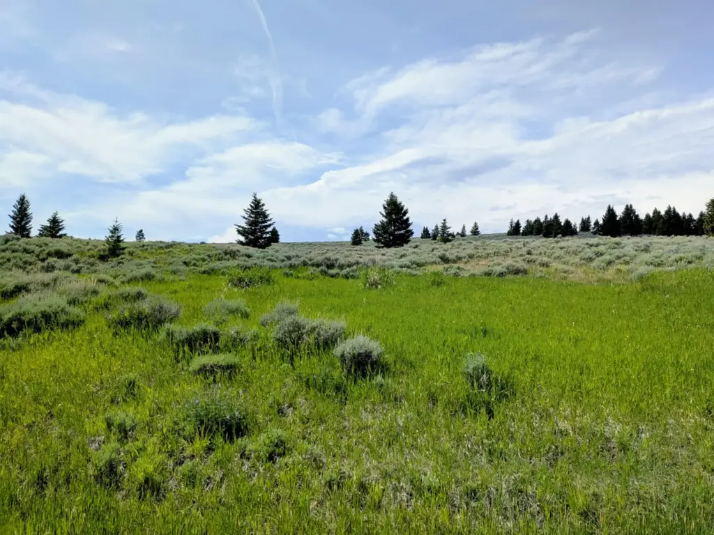 127 Panorama Drive, White Sulphur Springs