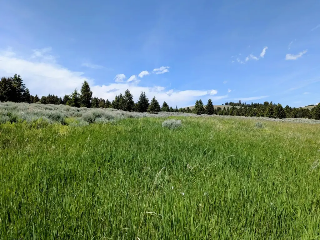 127 Panorama Drive, White Sulphur Springs