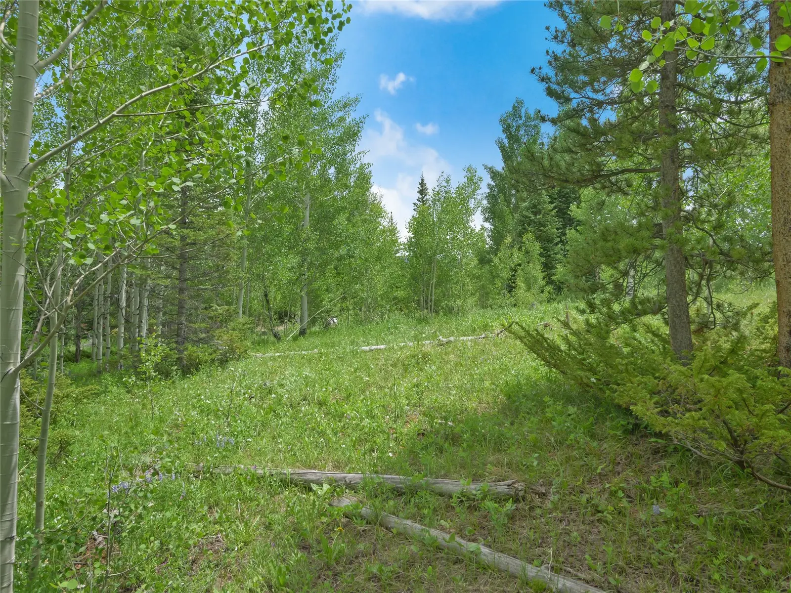 616 Aspen Drive, Silverthorne