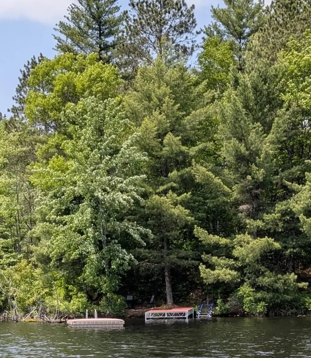 14903 Chequamegon Forest Tr # 5, Lac du Flambeau, WI - MLS# 216351 ...