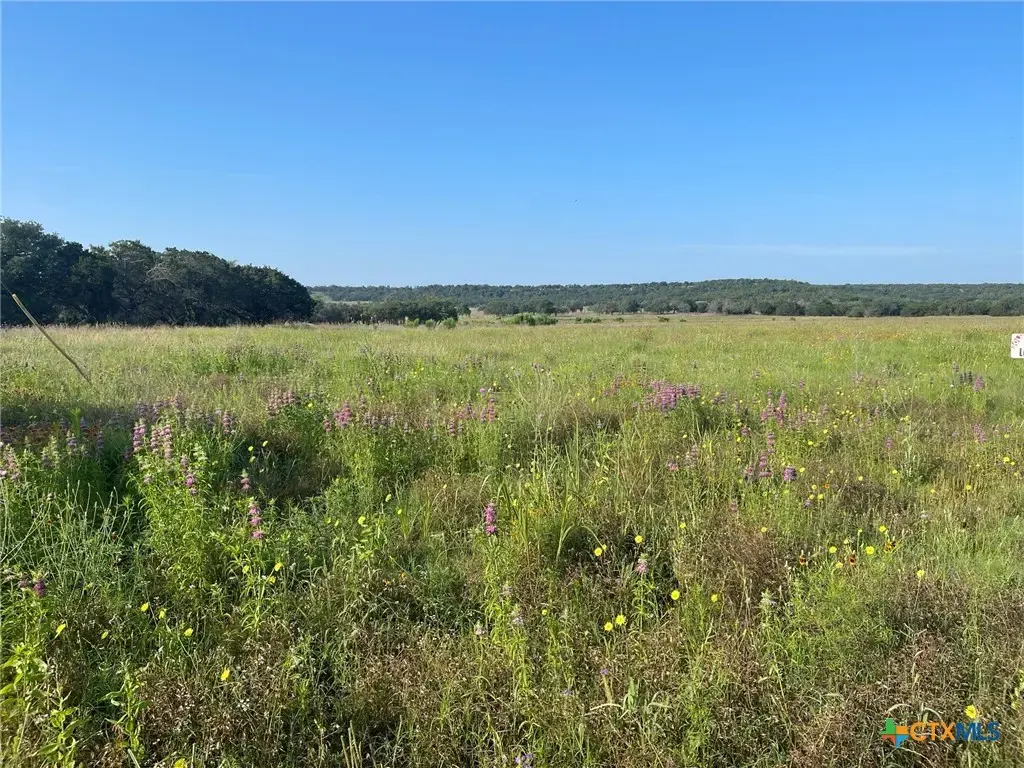 Lot 11 Fm 1690, Gatesville