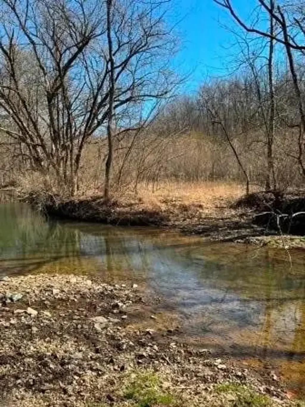 Brush Run, Blaine