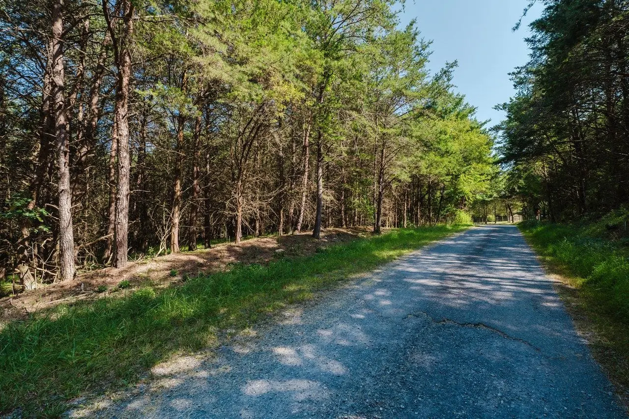 Tbd River View Rd, Luray