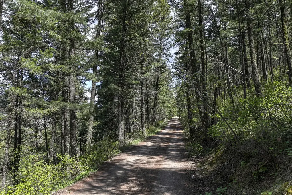 13275 Balsamroot Road, Lolo