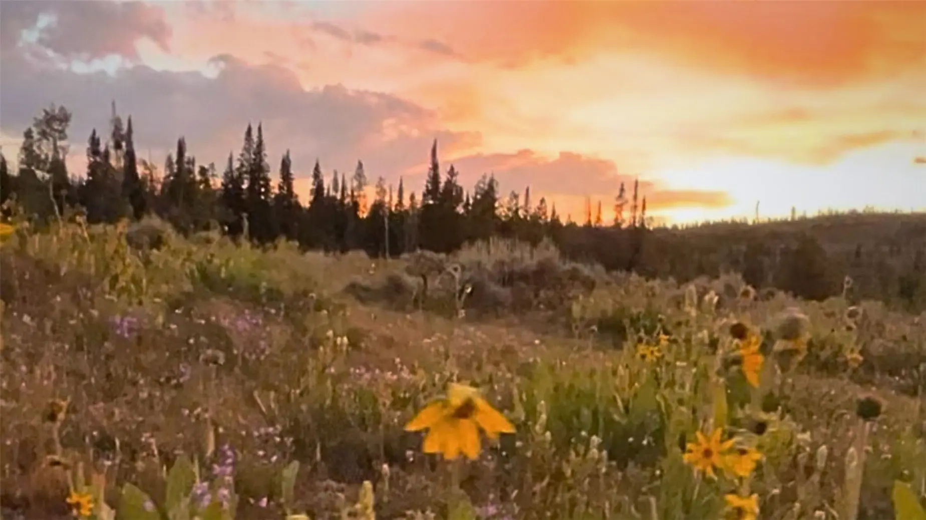Lot Ar Spring Creek Ranch Rd, Silverthorne