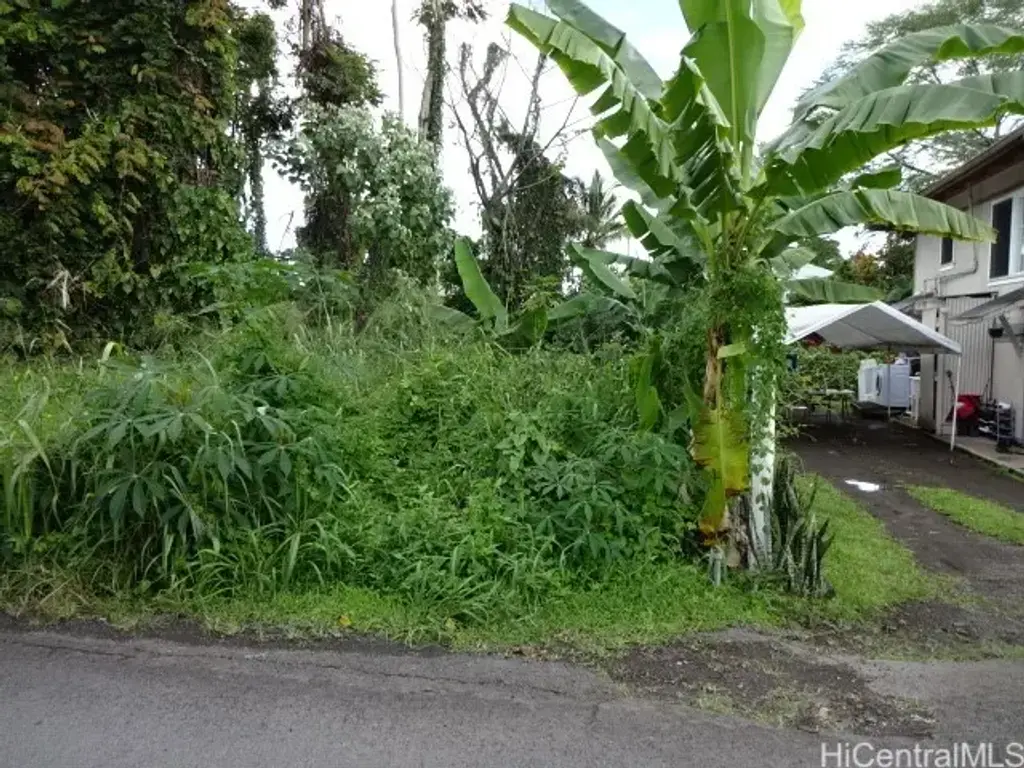141 Manini Street, Hilo