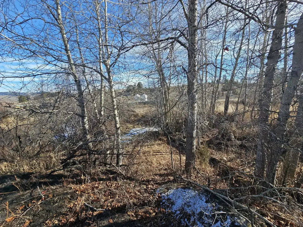 198 Mullan Trail Road, Gold Creek