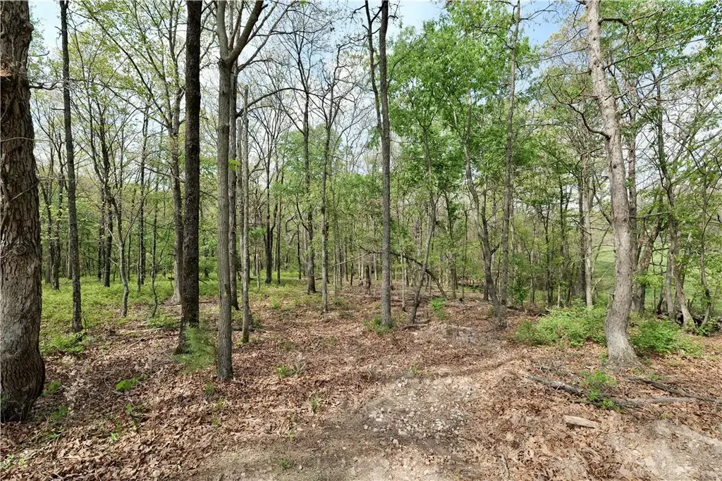 Tbd Hummingbird Road, Gravette