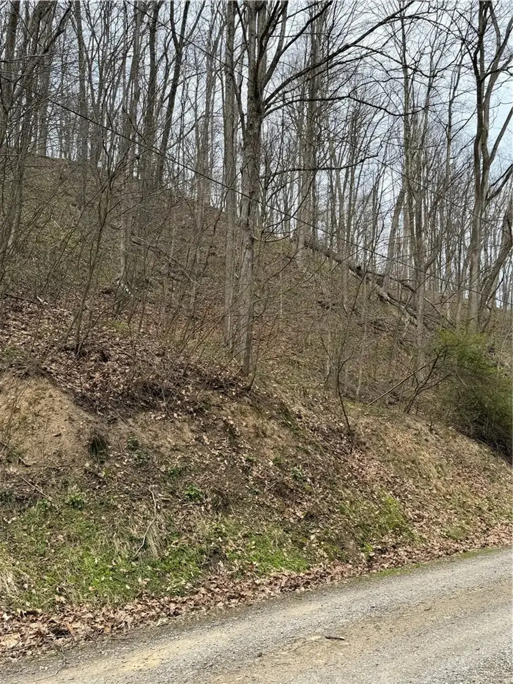 Coal Bank Hollow Road , Bethel