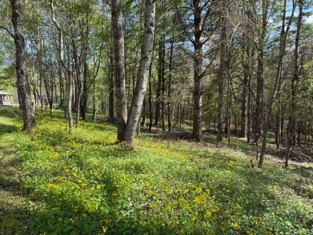 Tbd (1 Acre) Crestview Drive West, Creston