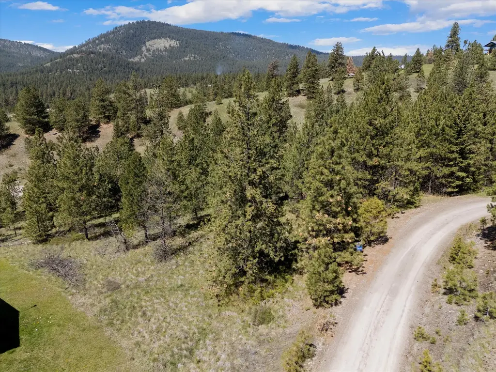 31009 Canyon View Place, Polson
