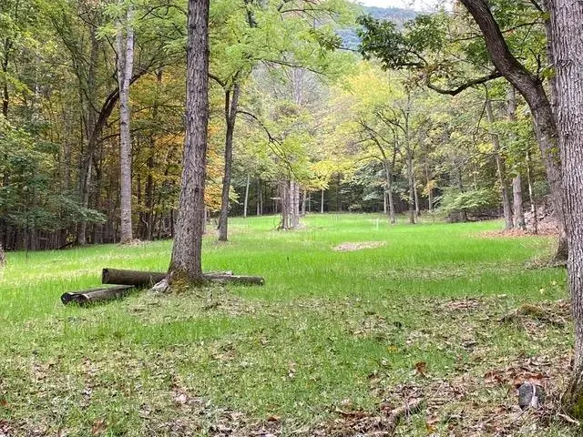 81.5 Acres Hopkins Gap Rd, Fulks Run