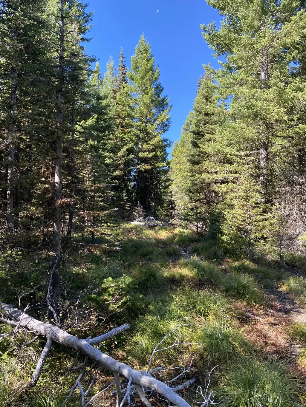 Nhn Mill Creek Road, Frenchtown