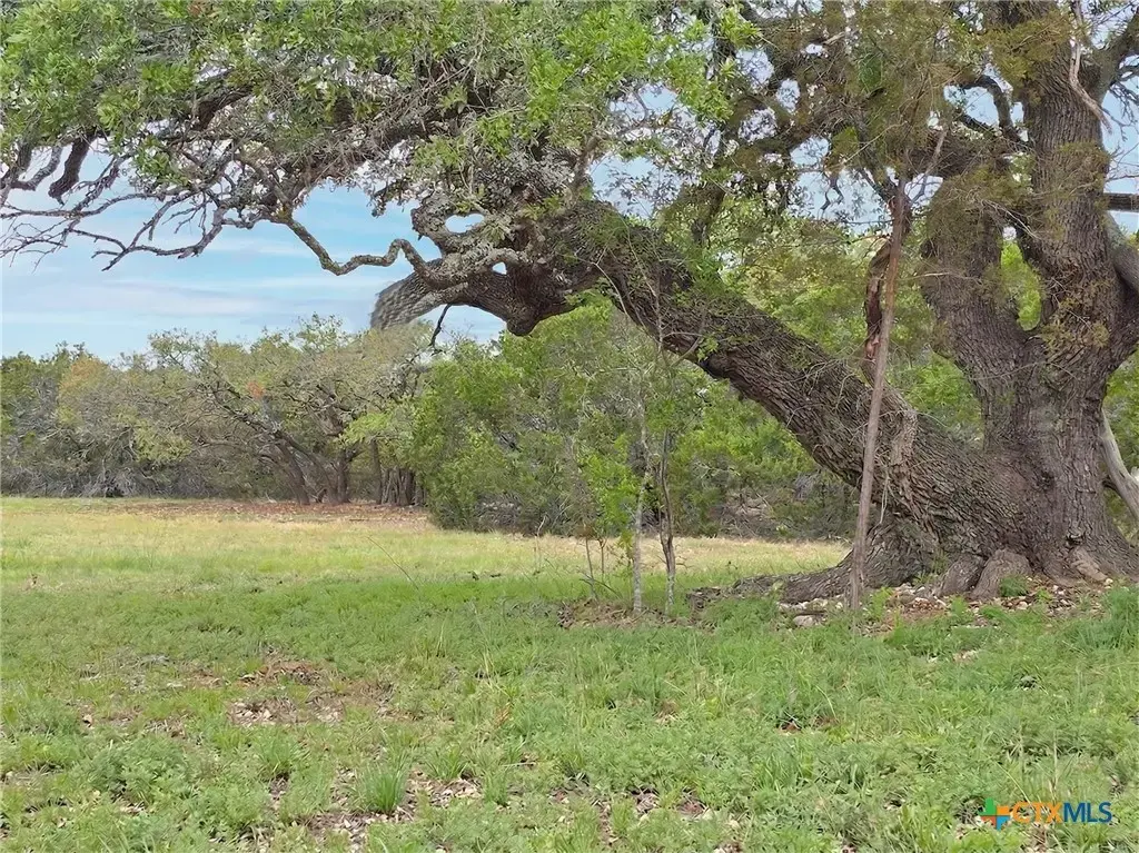 Cr 206, Lampasas