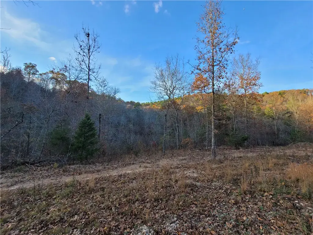 1272 Ramblewood Trail, Yellville
