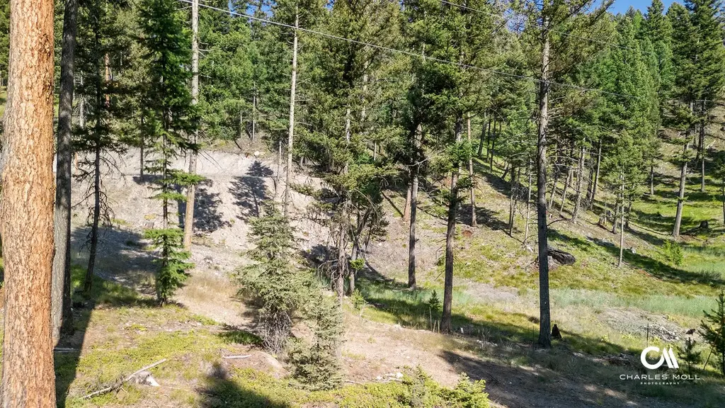 170 Leota Peak Court, Seeley Lake