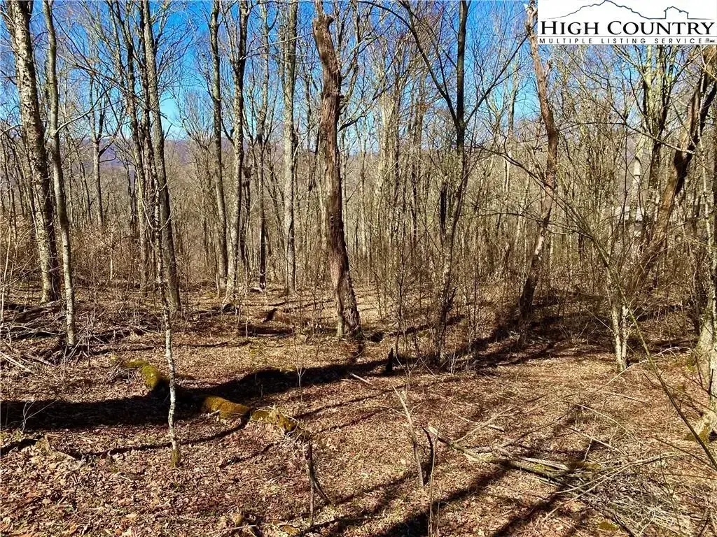 38 Sugar Tree, Sugar Mountain