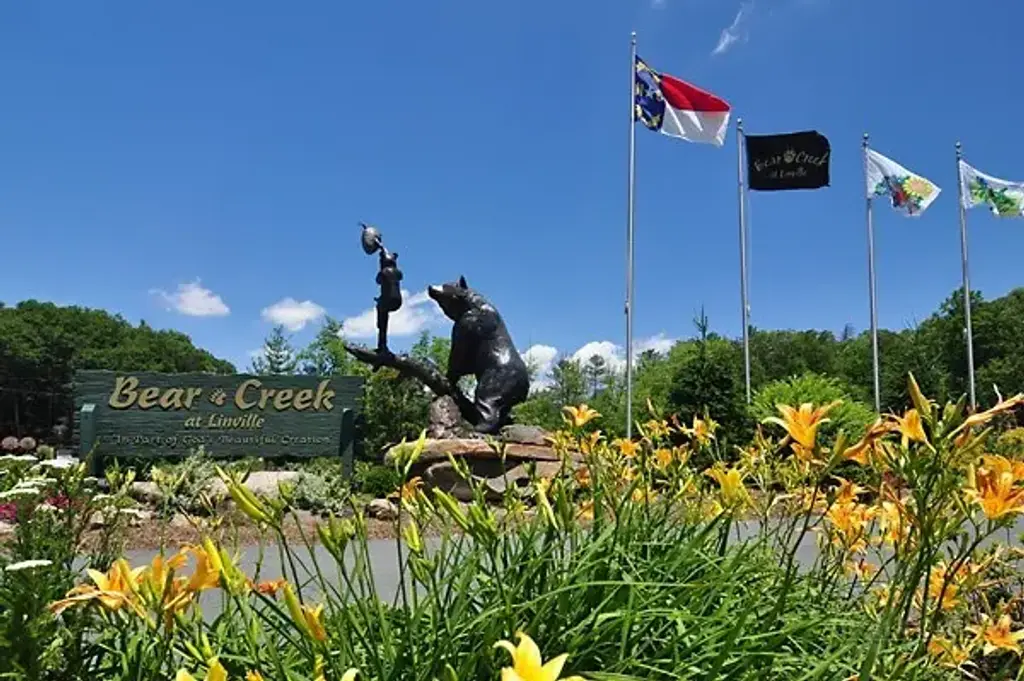 287 Cougar Run, Linville