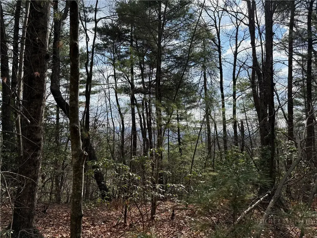 Lots 51 & 52a Staghorn Road, Purlear