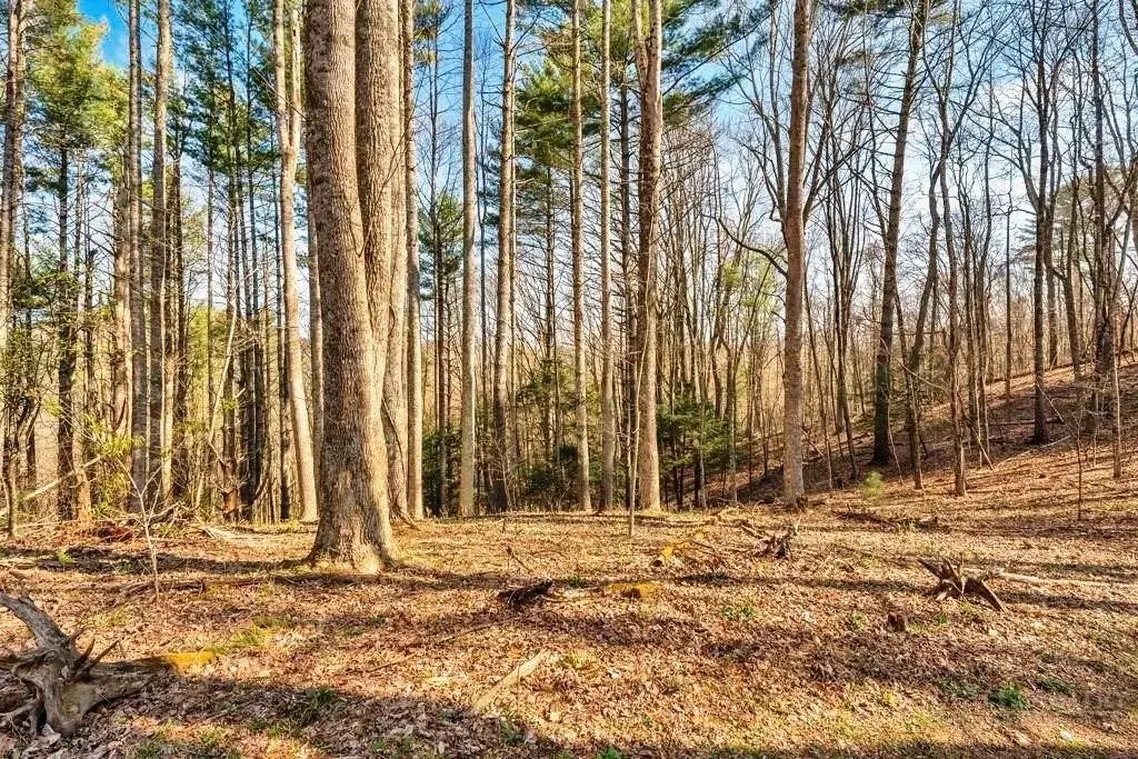 Tbd Private Drive, Sugar Grove