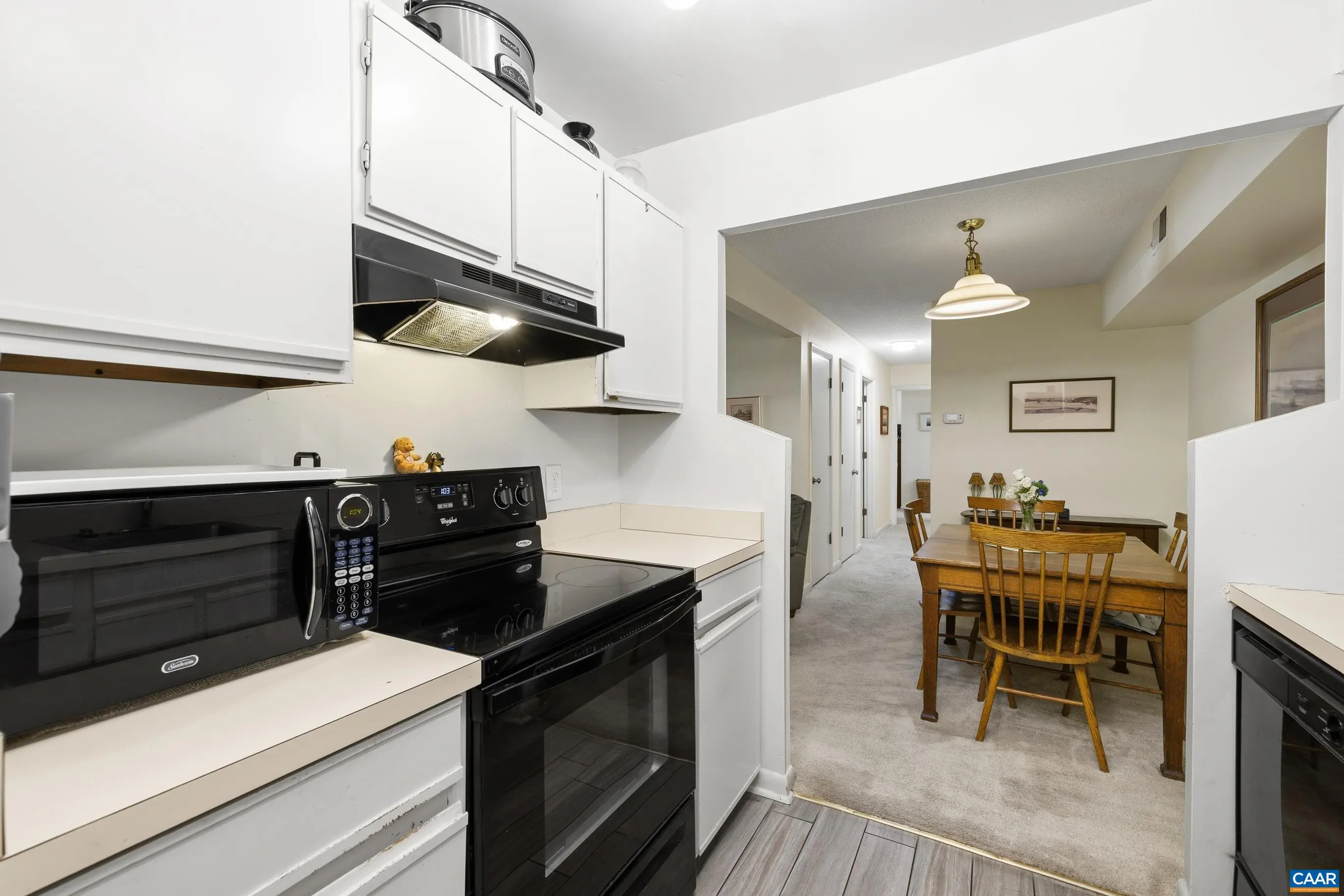 103 Turtle Creek Rd 1, Charlottesville
