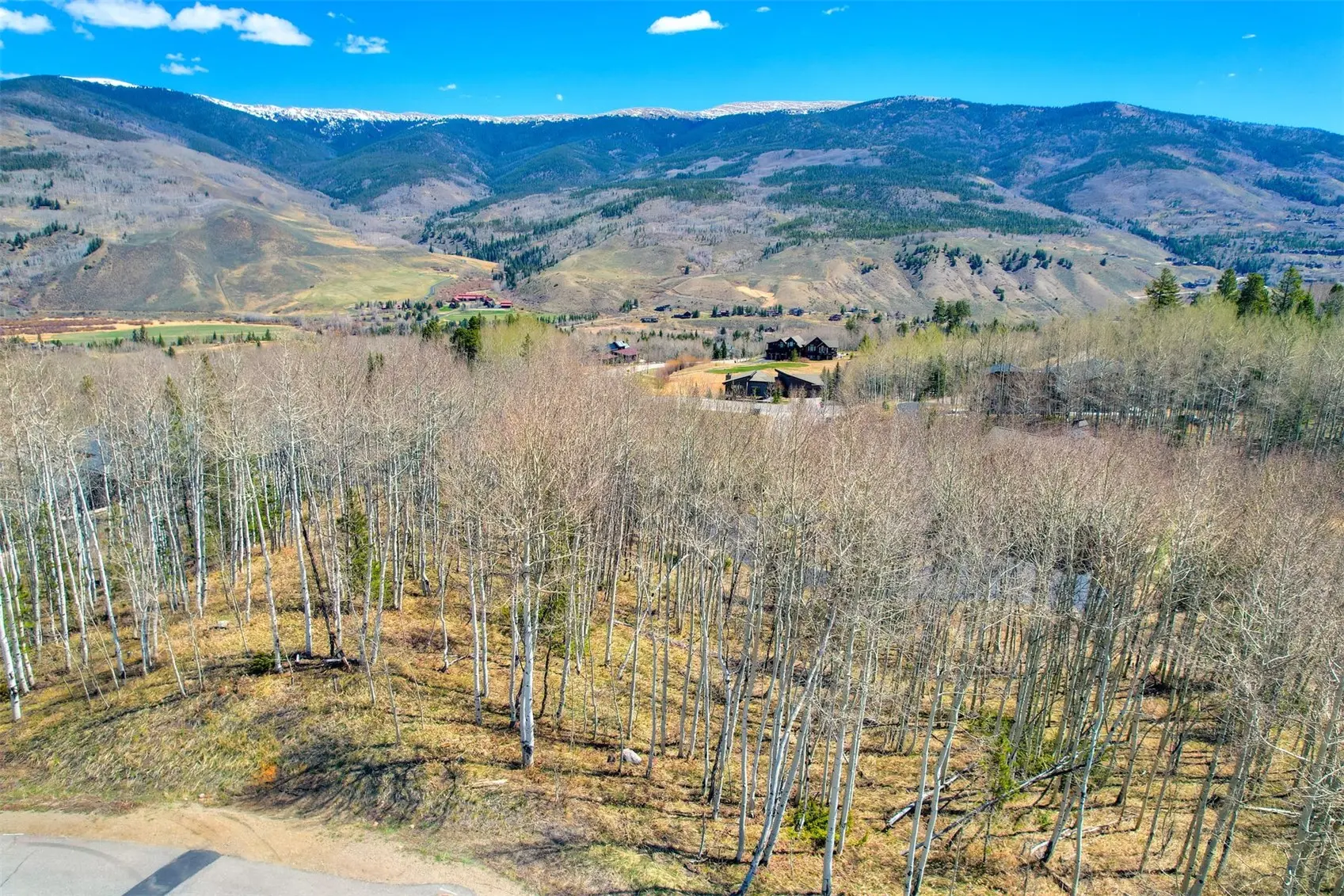 2180 Currant Way, Silverthorne