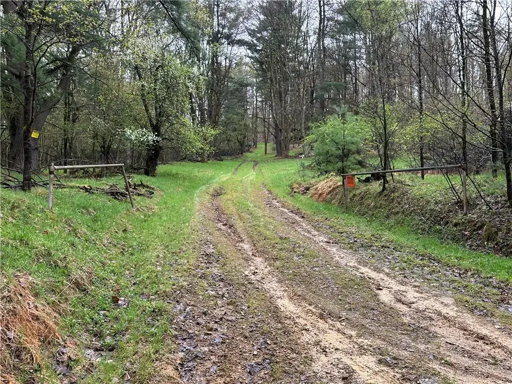 357 Pineville Road , Other