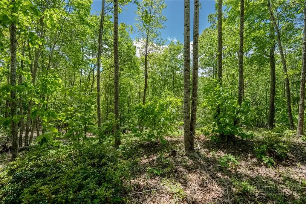 Beaver Dam Road, Elk Park