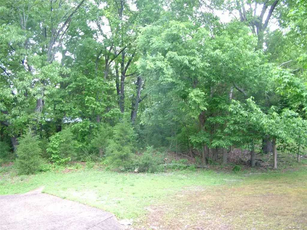 Lot 8 Franklin Avenue, Mountain Home