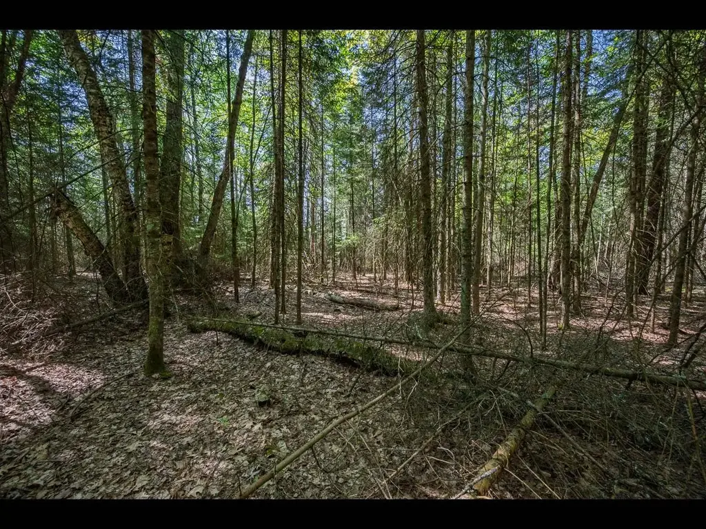 Lot 3 Memory Ln, Eagle River