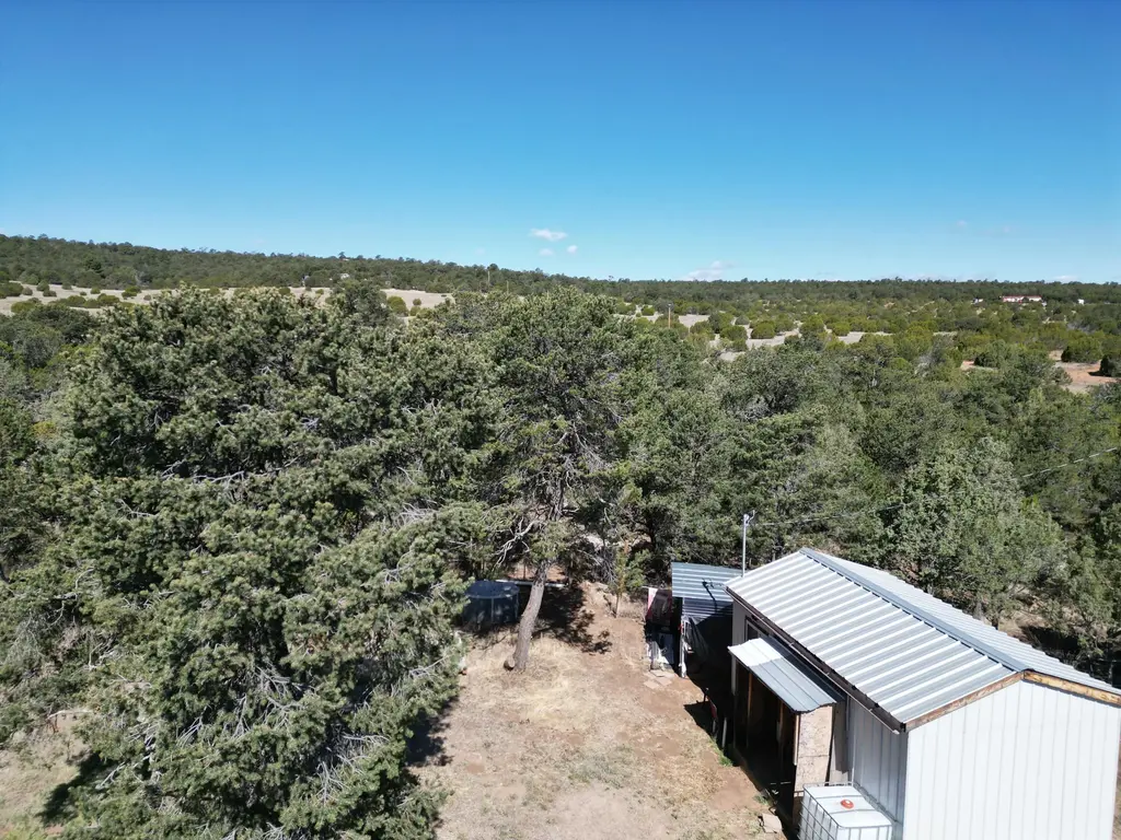 36 Williams Road, Edgewood