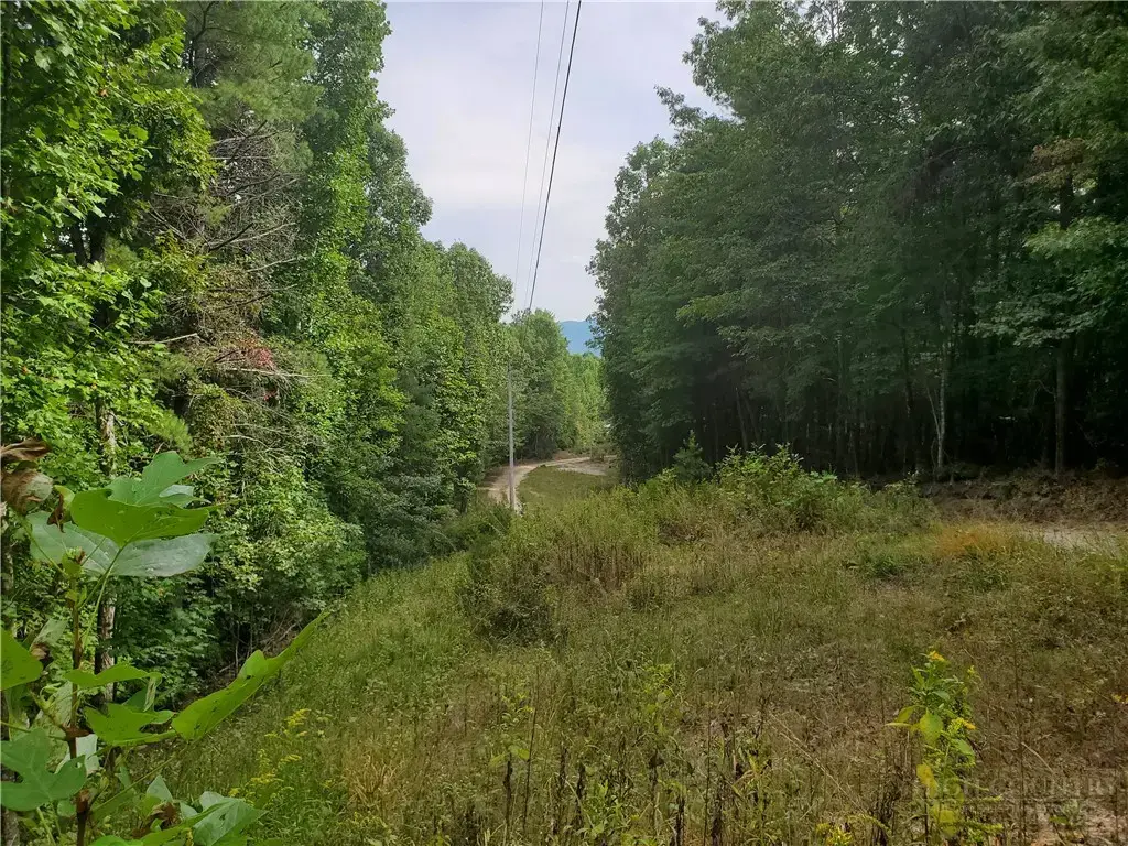 3924 Pearson Mountain Road, Boomer