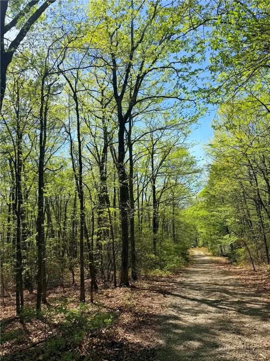 Tbd Raven Ridge Trail, Dobson