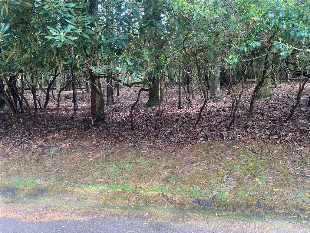 18-c Buchanan Street, Roaring Gap