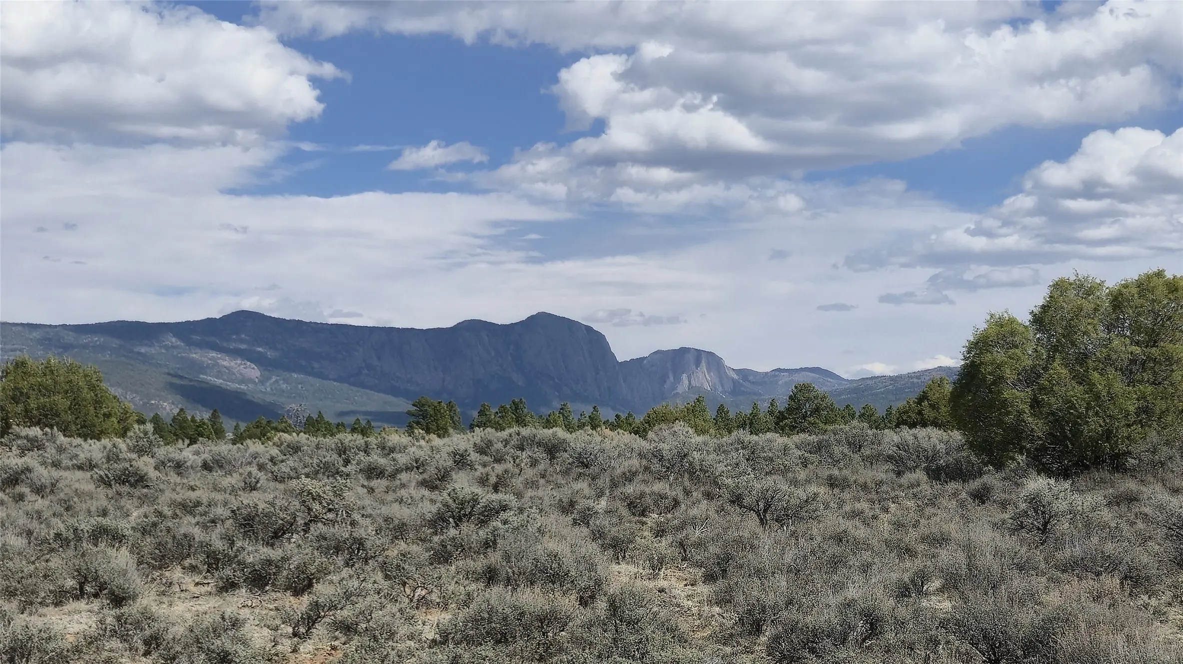 Xx County Rd 339a, Los Ojos