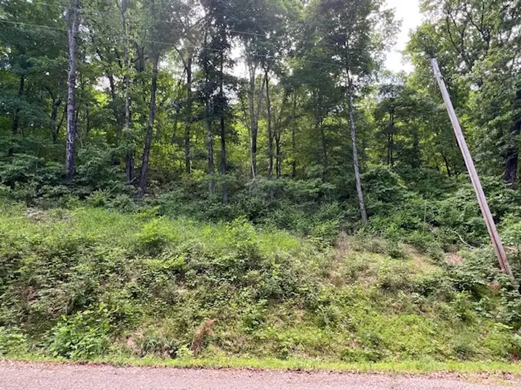 6 Wildcat Drive, Holiday Island