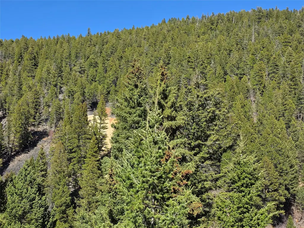 Tbd Little Blackfoot Rvr Little Blackfoot River Road, Elliston