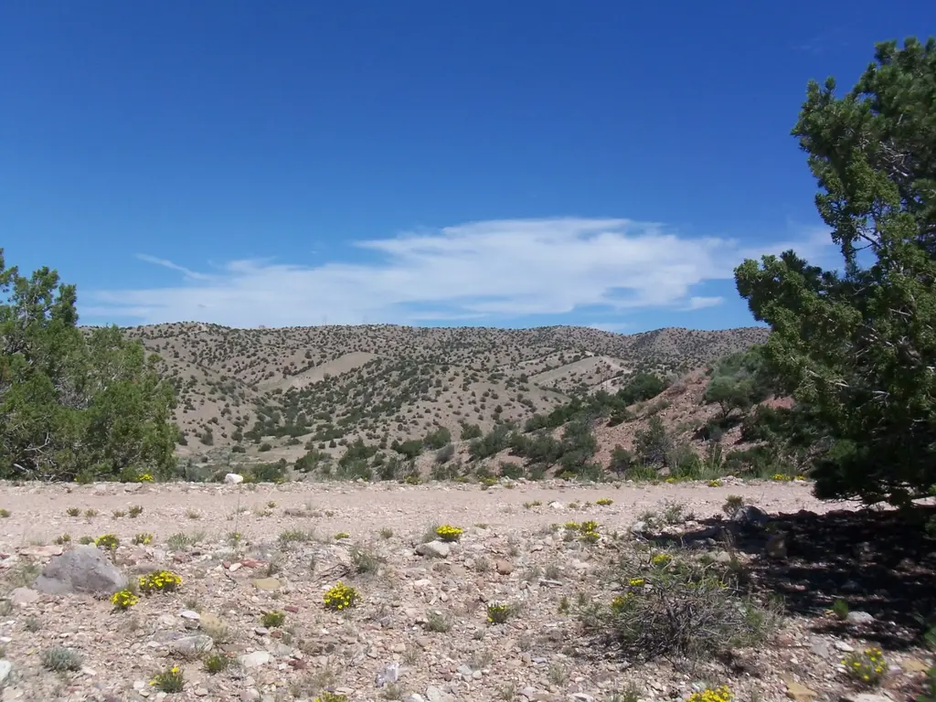56 Camino De Las Brisas, Placitas