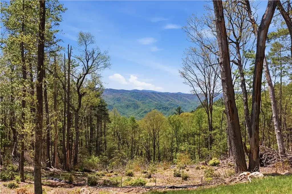 Lot 102 Angelfire Trail, Deep Gap