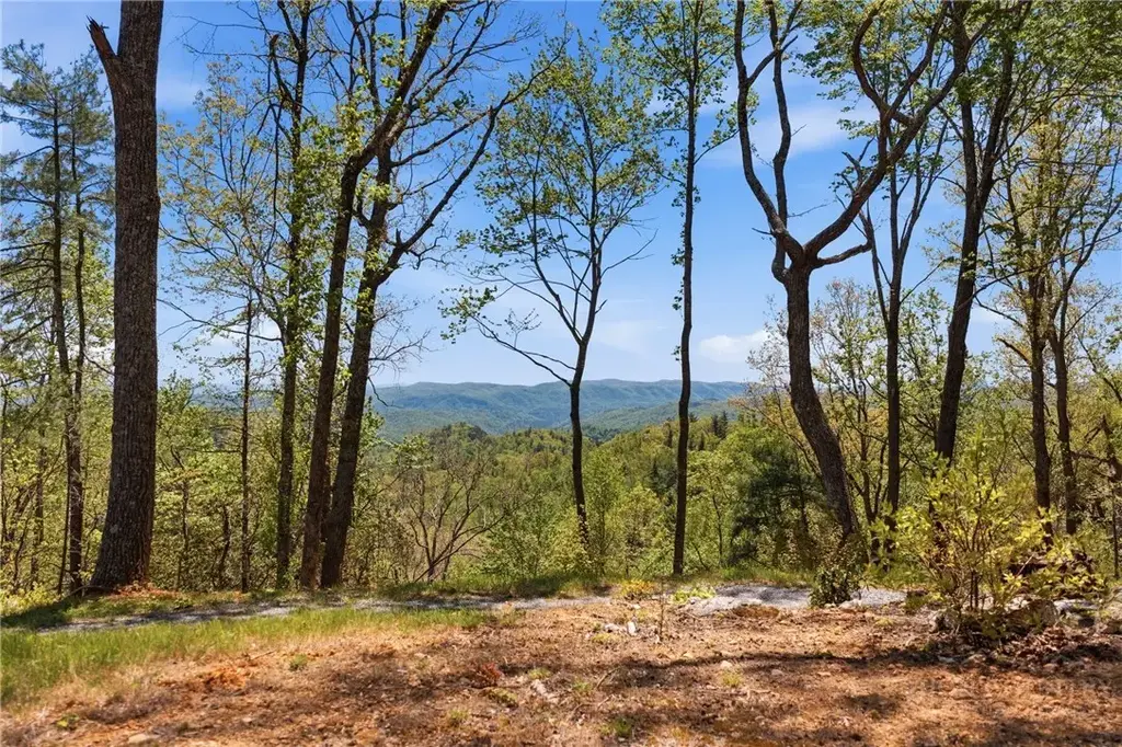 Lot 44 Wildcat Wilderness Parkway, Deep Gap