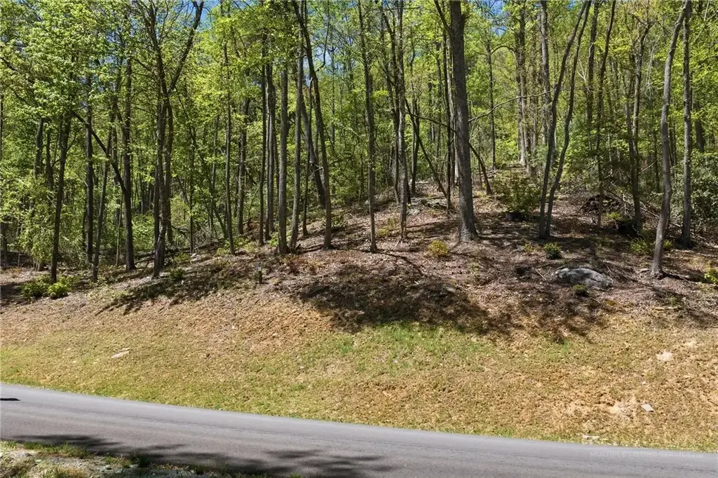 Lot 50 Wildcat Wilderness Reserve Parkway, Deep Gap
