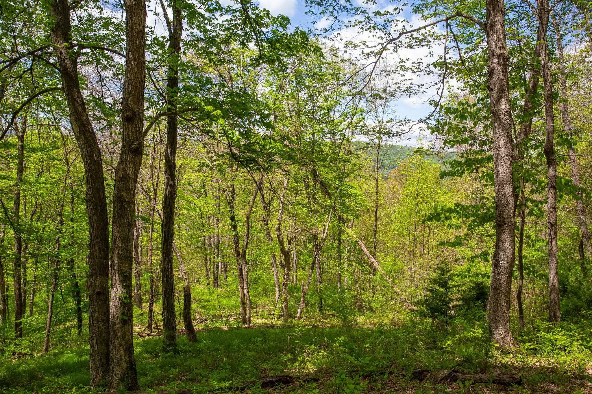 Church Mountain Ln, Fulks Run