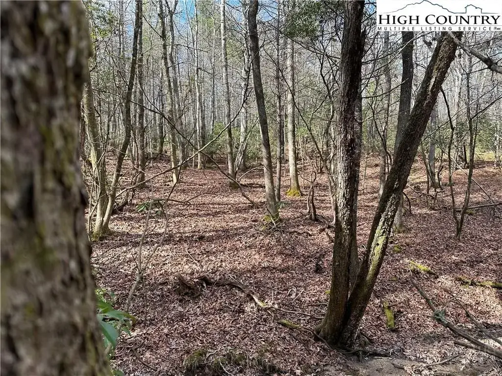 Lot 23 Holly Run, Glade Valley