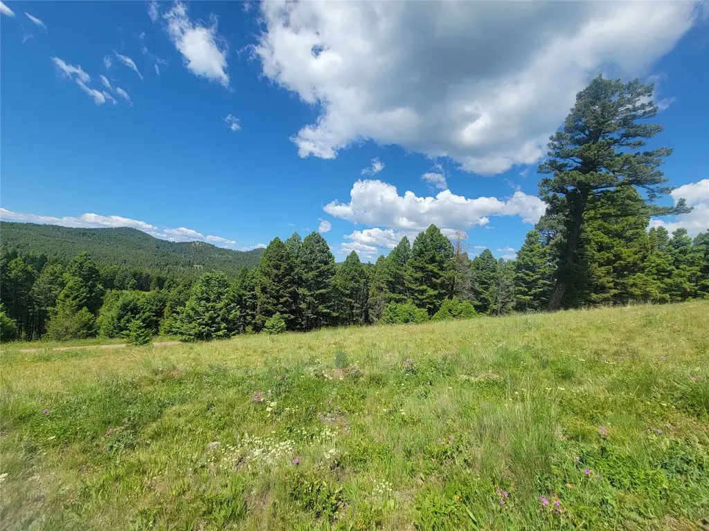 Lot 83 Hoover Creek Road, Helmville