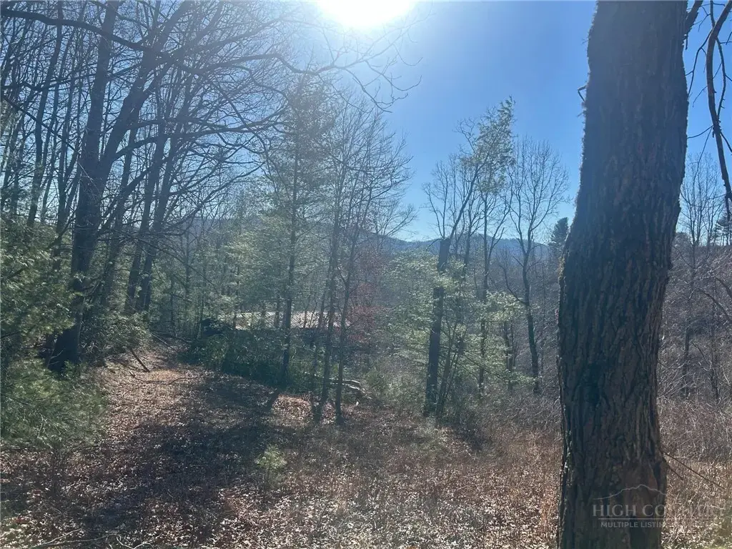 7889 Old Highway 16, Crumpler