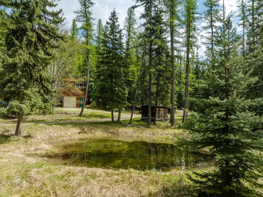 313 Griffith Creek Road, Eureka